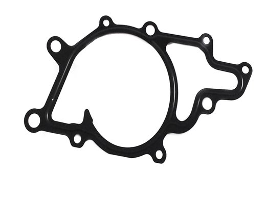Water Pump Gasket