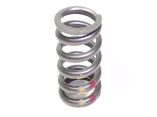 Valve Spring